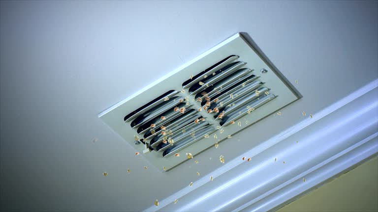 Best Air Duct Cleaning Near Me  in Lamar, SC
