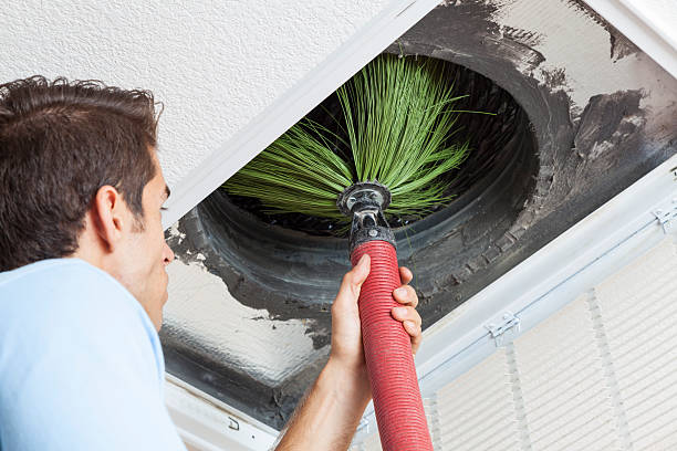 Best Dryer Vent Cleaning Services  in Lamar, SC